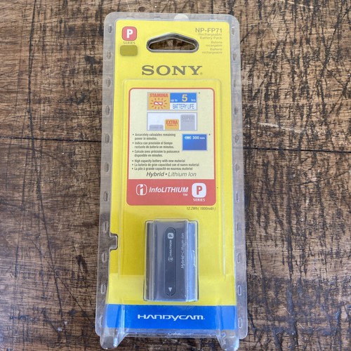 Sony handy cam battery - cam,